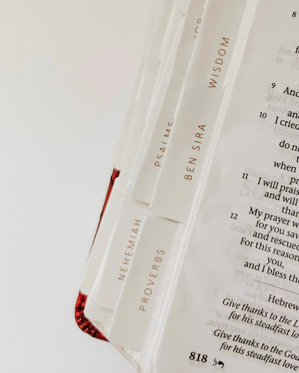 Gold & White Catholic Bible Tabs