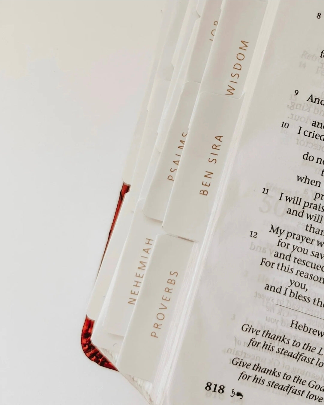 Gold & White Catholic Bible Tabs
