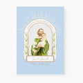 30 Day St. Joseph Novena prayer card