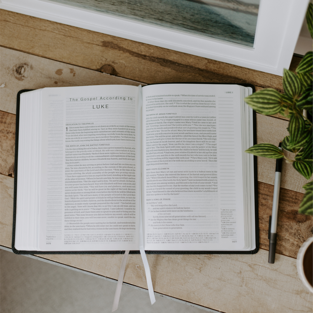 Blessed Is She Single-Column Journaling Bible (NRSV-CE, with Imprimatur)